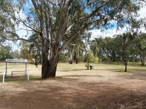 Narrabri Big Sky Caravan Park Exteriör bild